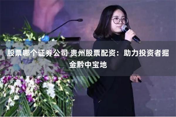 股票哪个证券公司 贵州股票配资：助力投资者掘金黔中宝地